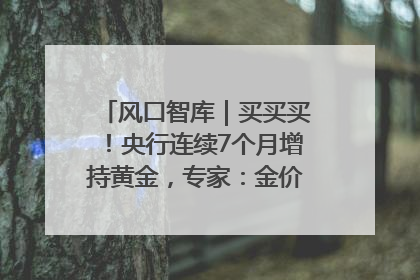 风口智库｜买买买！央行连续7个月增持黄金，专家：金价或仍易涨难跌
