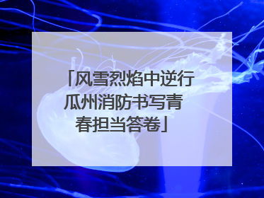 风雪烈焰中逆行 瓜州消防书写青春担当答卷