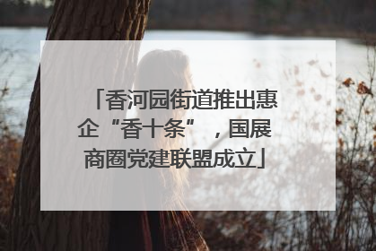 香河园街道推出惠企“香十条”，国展商圈党建联盟成立