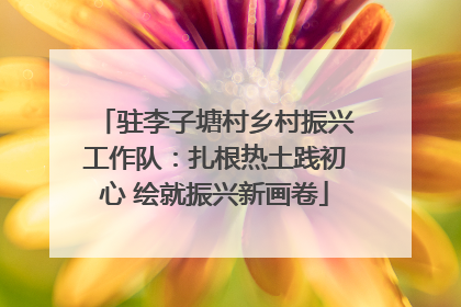 驻李子塘村乡村振兴工作队：扎根热土践初心 绘就振兴新画卷