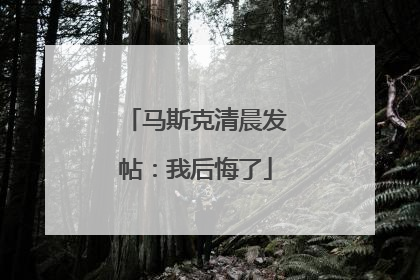 马斯克清晨发帖：我后悔了