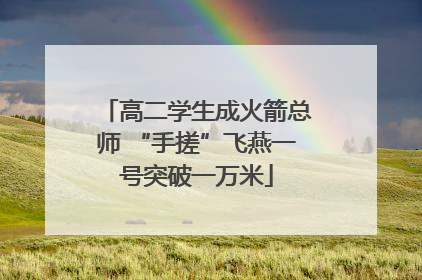 高二学生成火箭总师 “手搓”飞燕一号突破一万米