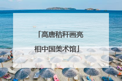 高唐秸秆画亮相中国美术馆