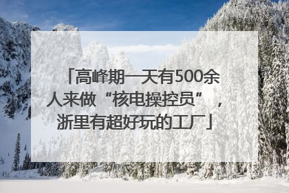 高峰期一天有500余人来做“核电操控员”，浙里有超好玩的工厂