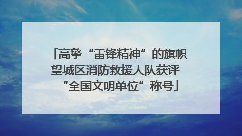 高擎“雷锋精神”的旗帜 望城区消防救援大队获评“全国文明单位”称号