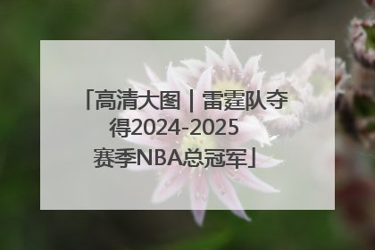 高清大图｜雷霆队夺得2024-2025赛季NBA总冠军