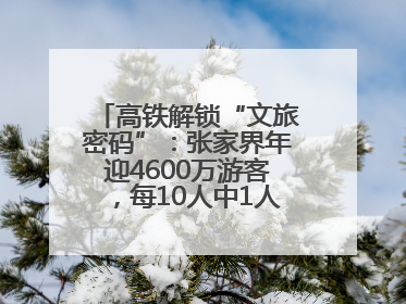 高铁解锁“文旅密码”：张家界年迎4600万游客，每10人中1人乘高铁而来