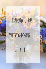 龙海，找到了6位高手！