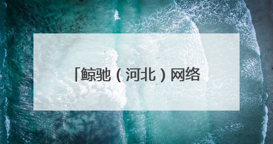 鲸驰（河北）网络科技集团：鲸驰出海，开启跨境新航程