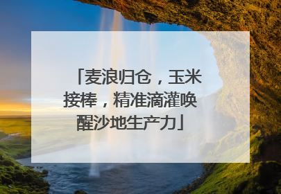 麦浪归仓，玉米接棒，精准滴灌唤醒沙地生产力