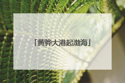 黄骅大港起渤海