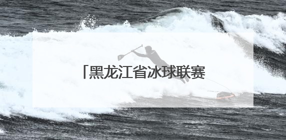 黑龙江省冰球联赛第二站收官 齐齐哈尔兰迪一队夺冠