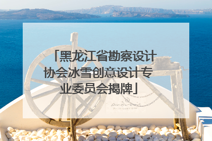 黑龙江省勘察设计协会冰雪创意设计专业委员会揭牌