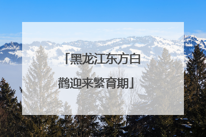 黑龙江东方白鹳迎来繁育期