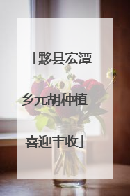 黟县宏潭乡元胡种植喜迎丰收