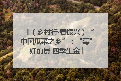 （乡村行·看振兴）“中国瓜菜之乡”：“莓”好前景 四季生金
