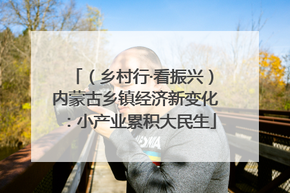 （乡村行·看振兴）内蒙古乡镇经济新变化：小产业累积大民生
