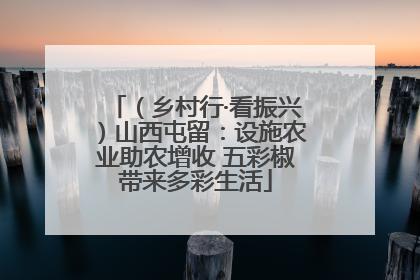 （乡村行·看振兴）山西屯留：设施农业助农增收 五彩椒带来多彩生活