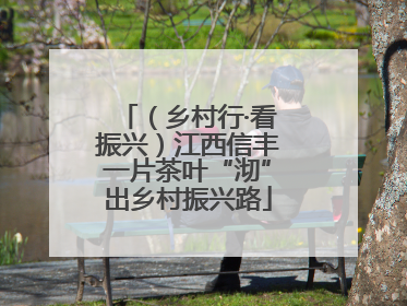 （乡村行·看振兴）江西信丰一片茶叶“沏”出乡村振兴路
