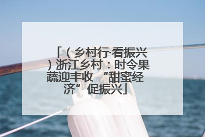 （乡村行·看振兴）浙江乡村：时令果蔬迎丰收 “甜蜜经济”促振兴