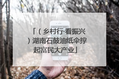 （乡村行·看振兴）湖南石鼓油纸伞撑起富民大产业