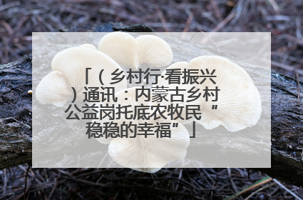（乡村行·看振兴）通讯：内蒙古乡村公益岗托底农牧民“稳稳的幸福”