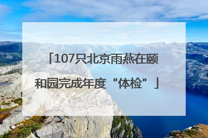 107只北京雨燕在颐和园完成年度“体检”