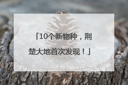 10个新物种，荆楚大地首次发现！