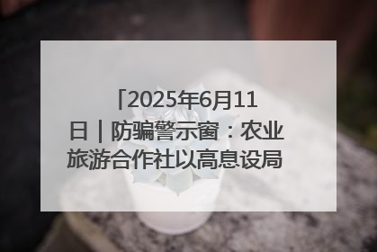 2025年6月11日｜防骗警示窗：农业旅游合作社以高息设局，集资380万