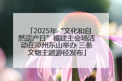 2025年“文化和自然遗产日”福建主会场活动在漳州东山举办 三条文物主题游径发布