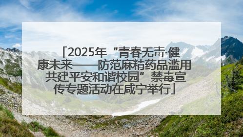 2025年“青春无毒·健康未来——防范麻精药品滥用 共建平安和谐校园”禁毒宣传专题活动在咸宁举行