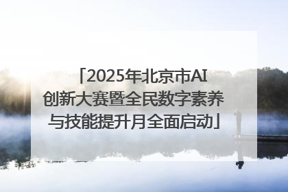2025年北京市AI创新大赛暨全民数字素养与技能提升月全面启动