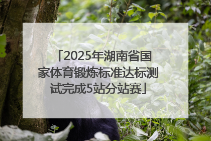 2025年湖南省国家体育锻炼标准达标测试完成5站分站赛
