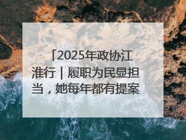2025年政协江淮行｜履职为民显担当，她每年都有提案被评为“优秀”