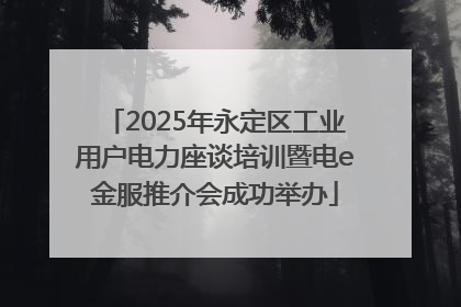 2025年永定区工业用户电力座谈培训暨电e金服推介会成功举办