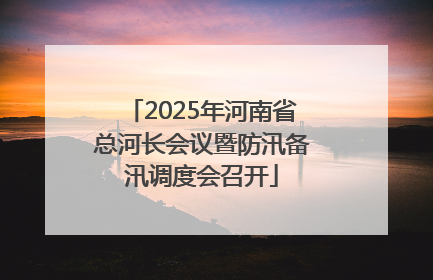 2025年河南省总河长会议暨防汛备汛调度会召开