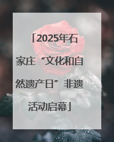 2025年石家庄“文化和自然遗产日”非遗活动启幕