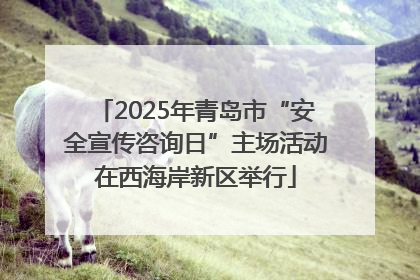 2025年青岛市“安全宣传咨询日”主场活动在西海岸新区举行