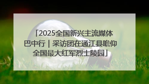 2025全国新兴主流媒体巴中行｜采访团在通江县瞻仰全国最大红军烈士陵园