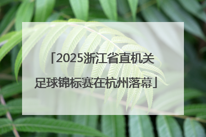 2025浙江省直机关足球锦标赛在杭州落幕