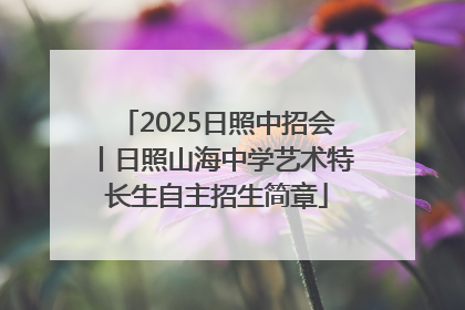 2025日照中招会丨日照山海中学艺术特长生自主招生简章