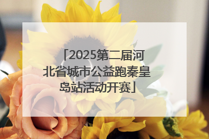 2025第二届河北省城市公益跑秦皇岛站活动开赛