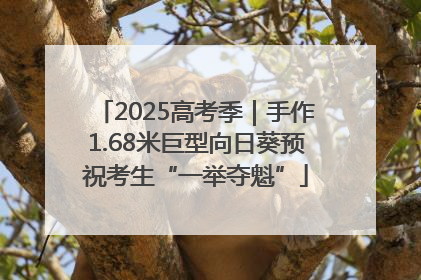 2025高考季｜手作1.68米巨型向日葵预祝考生“一举夺魁”