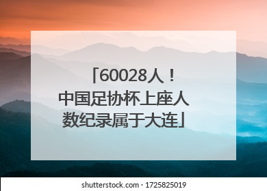 60028人！中国足协杯上座人数纪录属于大连