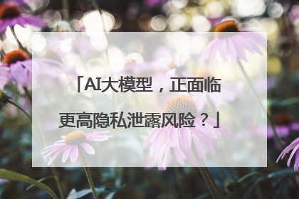 AI大模型，正面临更高隐私泄露风险？
