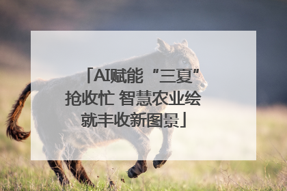 AI赋能“三夏”抢收忙 智慧农业绘就丰收新图景