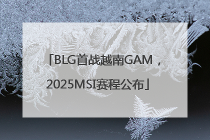 BLG首战越南GAM，2025MSI赛程公布