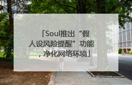 Soul推出“假人设风险提醒”功能，净化网络环境